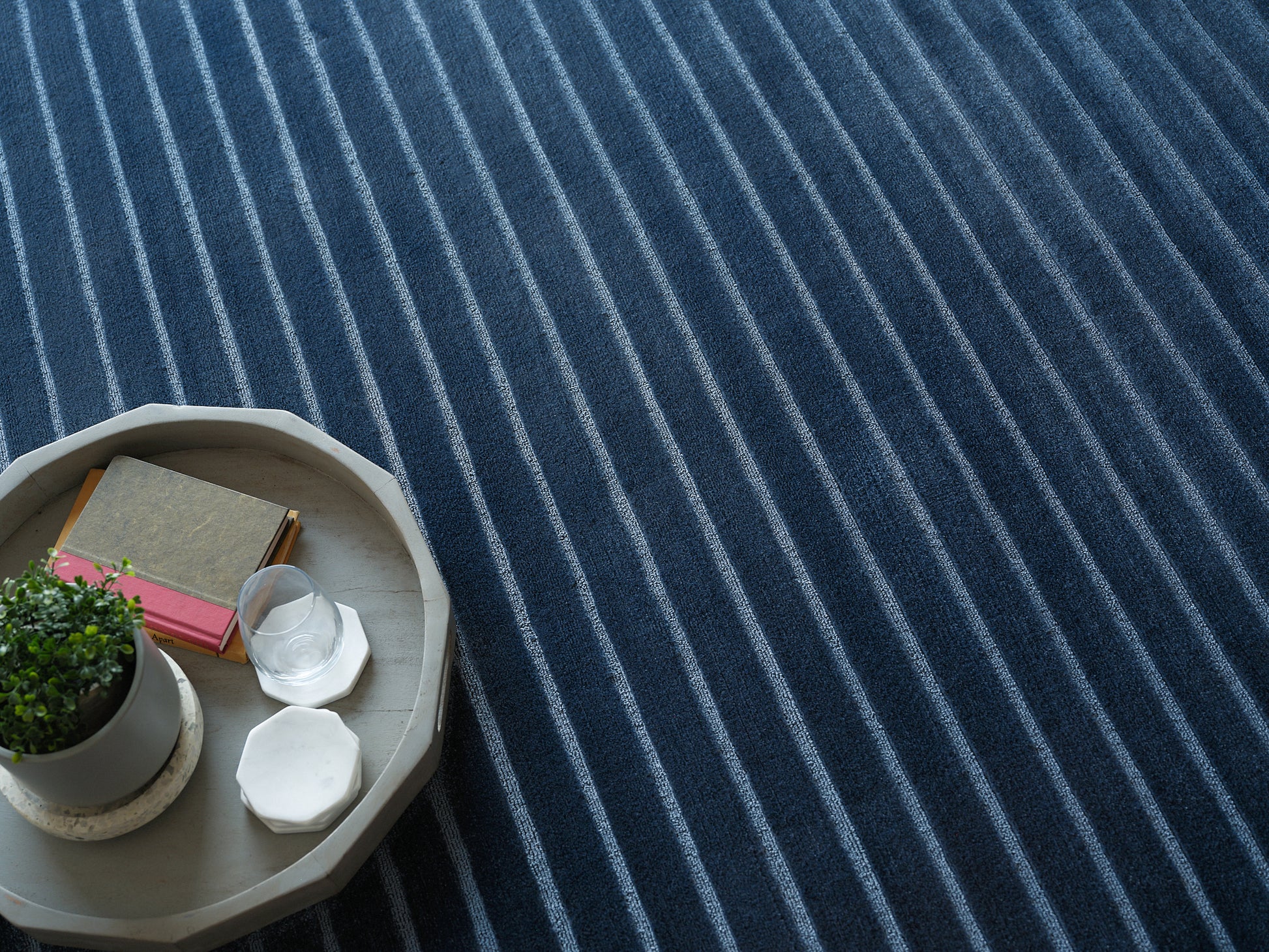 Gray octagonal tray on a blue striped rug, with a potted plant, stack of books, glass, and white ceramic coasters.