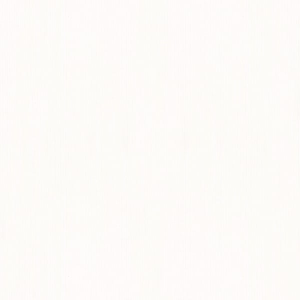 Galerie Wallcoverings Serene Silk Galerie Wallcoverings  White   - 6766-20