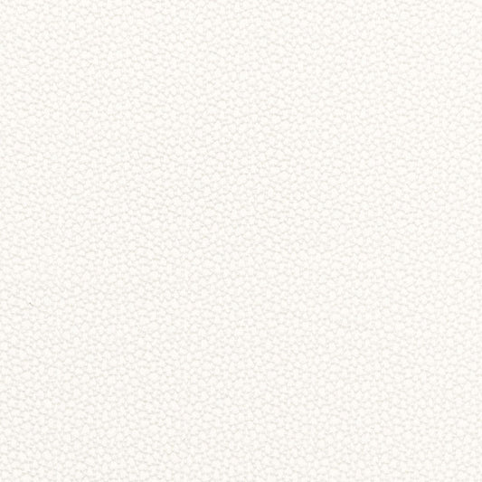 SCHUMACHER  ESSENTIALS: SHEERS & CASEMENTS ROSSINI SHEER SHEERS & CASEMENTS SHEERS & CASEMENTS IVORY   - 67660