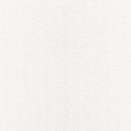 SCHUMACHER  FIRENZE/SHEERS DONATELLO SHEER SHEERS & CASEMENTS SHEERS & CASEMENTS IVORY   - 67670