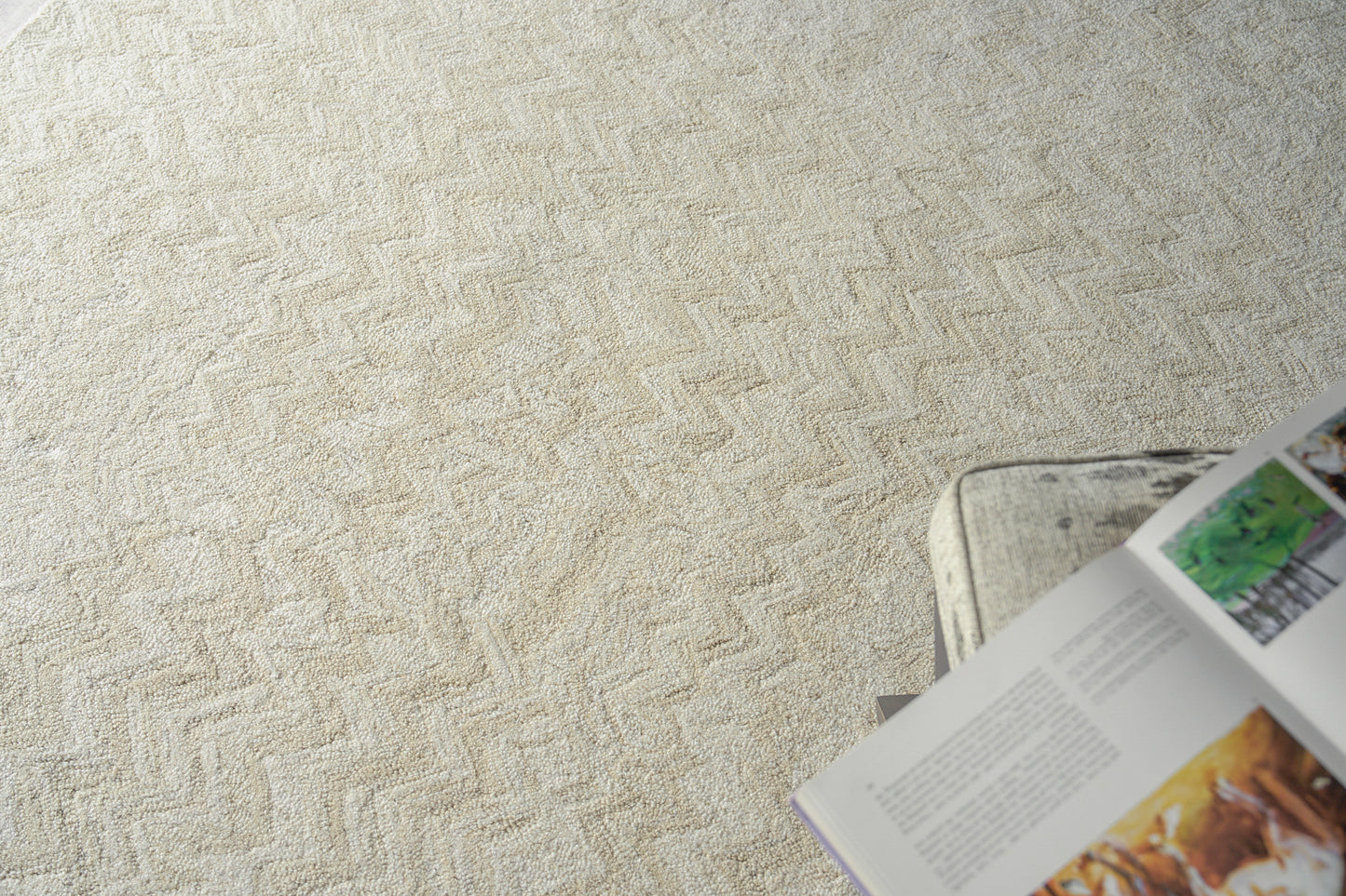 EXQUISITE RUGS   Veneta Indoor Hand Tufted    - 6774-6'X9'