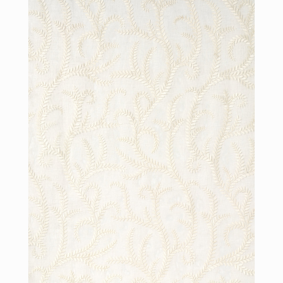 SCHUMACHER  ESSENTIALS: SHEERS & CASEMENTS II Boboli Embroidered Sheer EMBROIDERIES,SHEERS & CASEMENTS EMBROIDERIES,SHEERS & CASEMENTS IVORY   - 67760