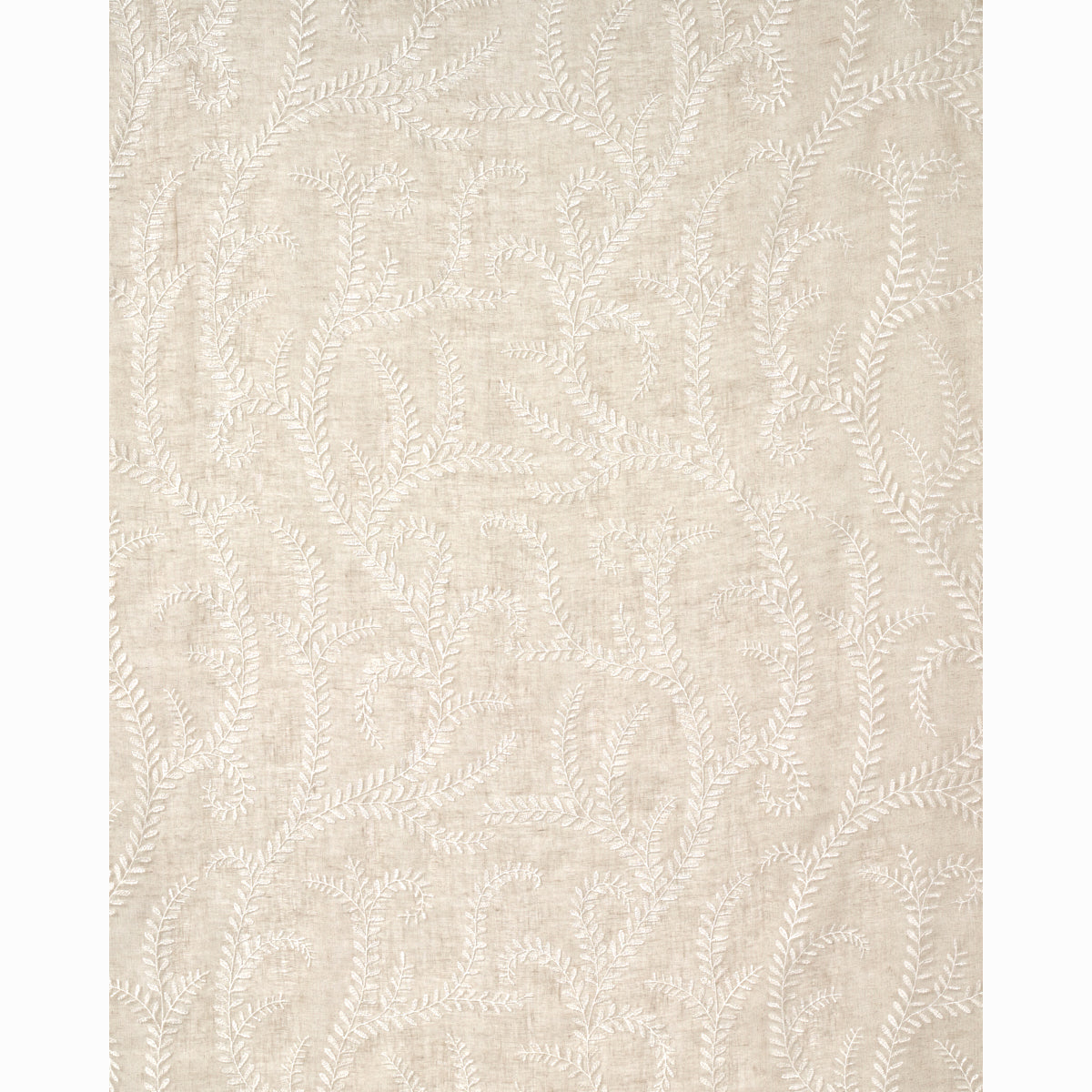 SCHUMACHER  FIRENZE / SHEERS Boboli Embroidered Sheer EMBROIDERIES,SHEERS & CASEMENTS EMBROIDERIES,SHEERS & CASEMENTS LINEN   - 67761