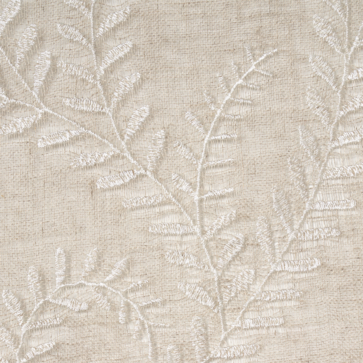 SCHUMACHER  FIRENZE / SHEERS Boboli Embroidered Sheer EMBROIDERIES,SHEERS & CASEMENTS EMBROIDERIES,SHEERS & CASEMENTS LINEN   - 67761