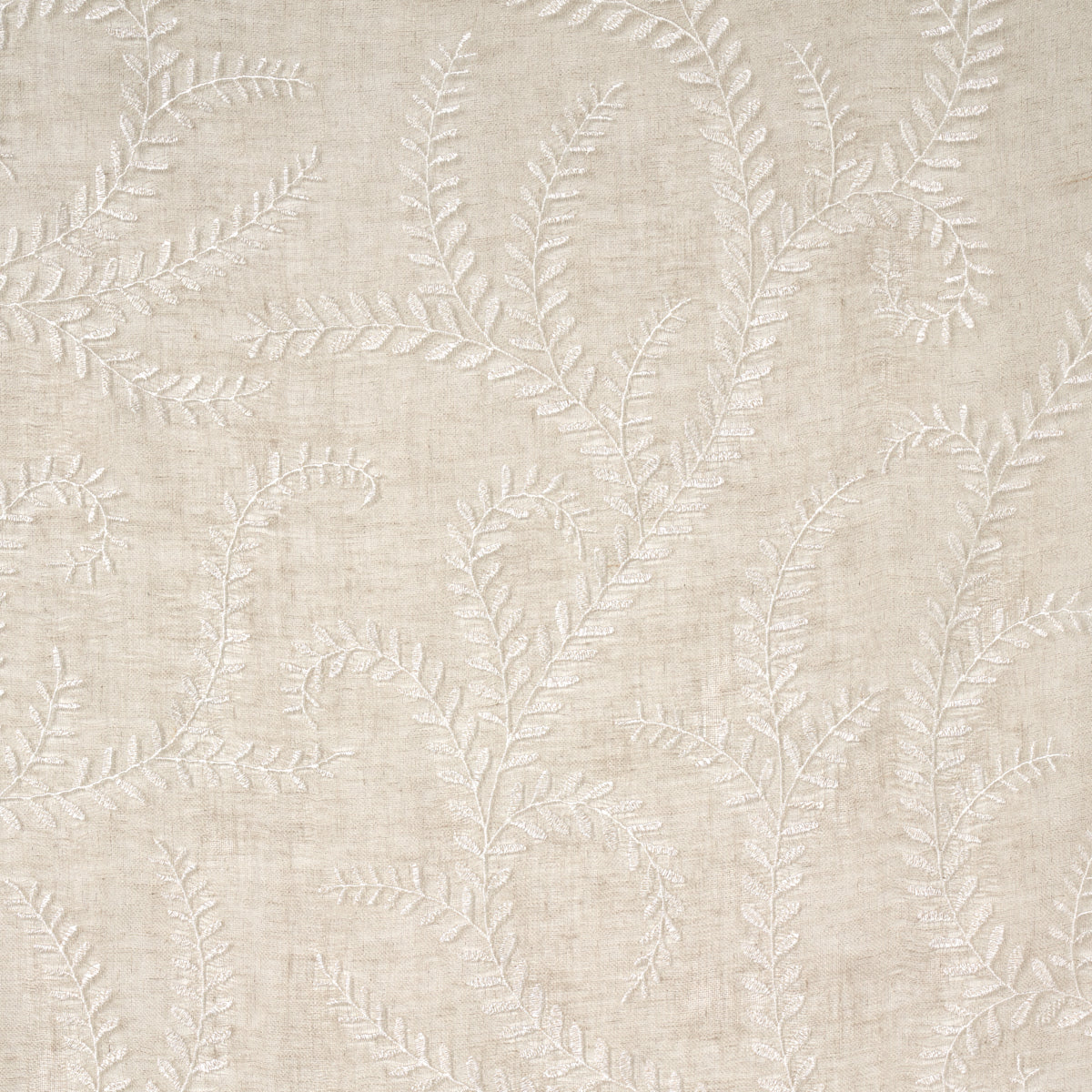 SCHUMACHER  FIRENZE / SHEERS Boboli Embroidered Sheer EMBROIDERIES,SHEERS & CASEMENTS EMBROIDERIES,SHEERS & CASEMENTS LINEN   - 67761