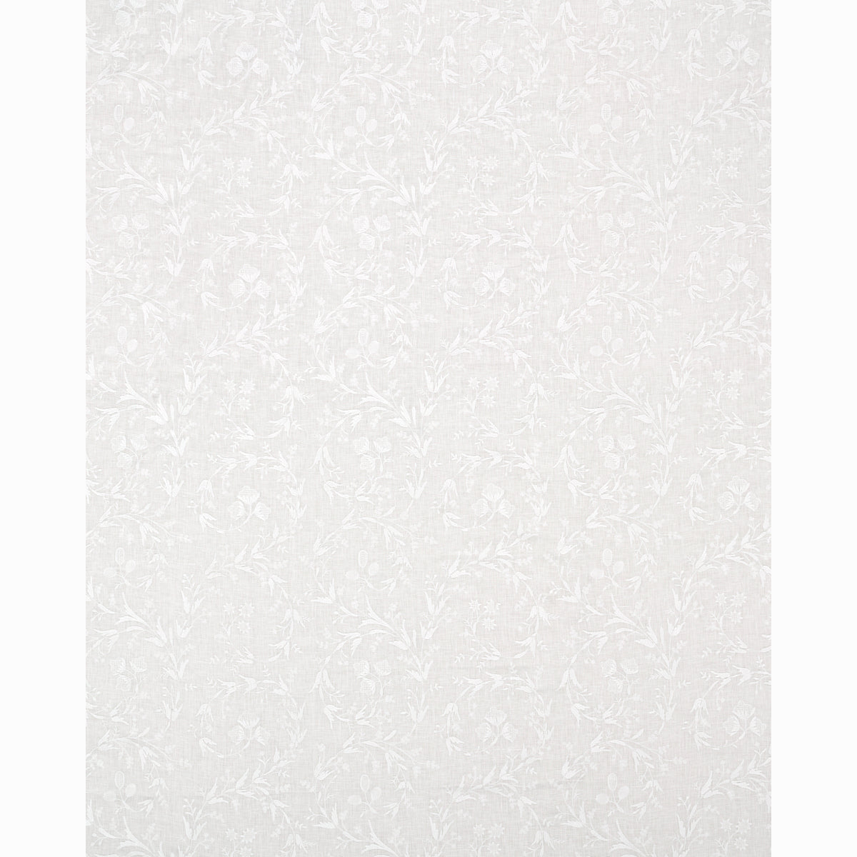 SCHUMACHER  ESSENTIALS: SHEERS & CASEMENTS Fiorentina Embroidery SHEERS & CASEMENTS,EMBROIDERIES SHEERS & CASEMENTS,EMBROIDERIES IVORY   - 67820