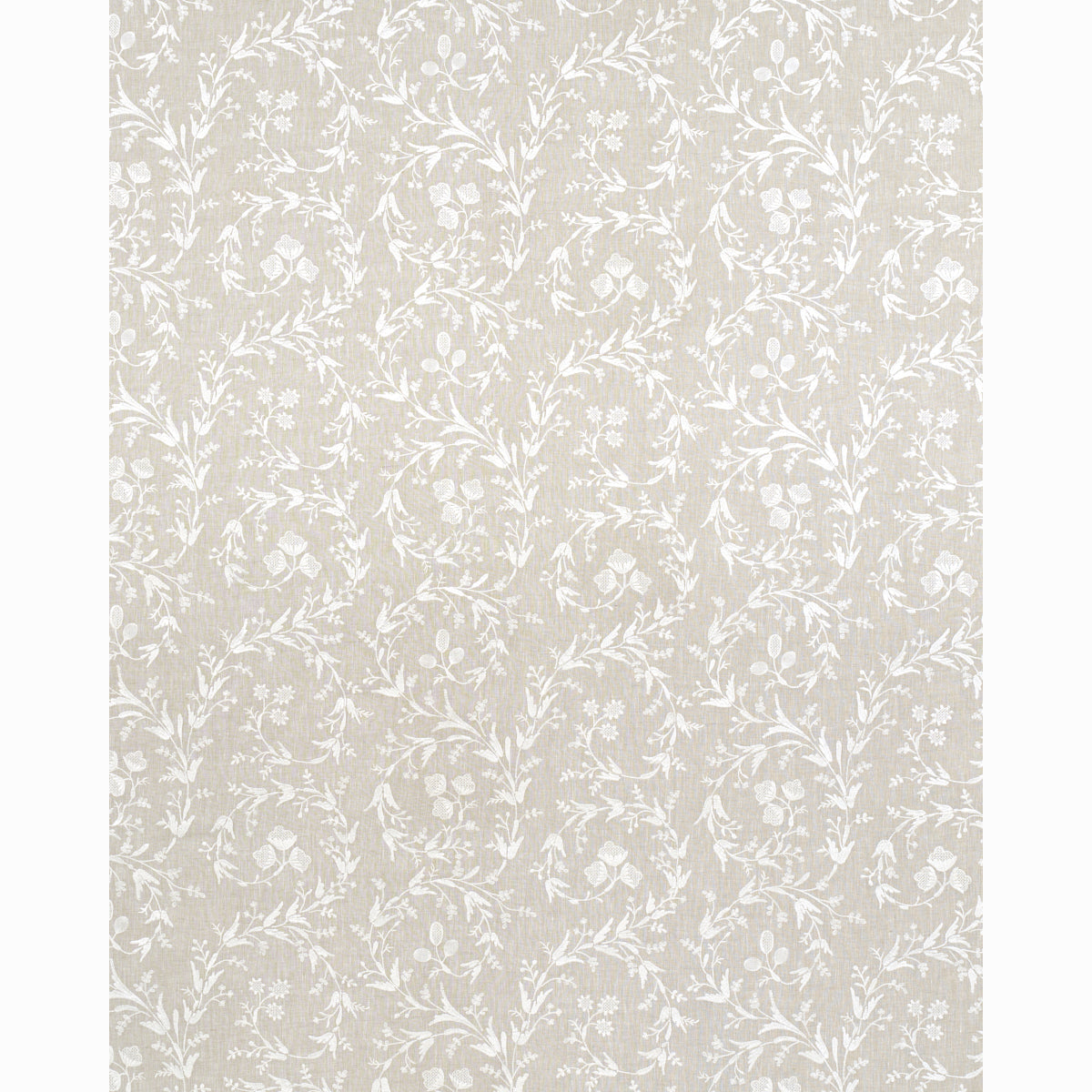 SCHUMACHER  ESSENTIALS: SHEERS & CASEMENTS Fiorentina Embroidered Sheer SHEERS & CASEMENTS,EMBROIDERIES SHEERS & CASEMENTS,EMBROIDERIES OAT   - 67821