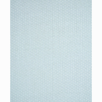 SCHUMACHER  RHAPSODY IN BLUE PEBBLE EMBROIDERY PRINTS PRINTS SKY   - 67981