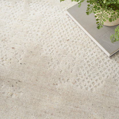 Cream-beige woven area rug with subtle diamond texture; potted fern on a gray hardcover book.