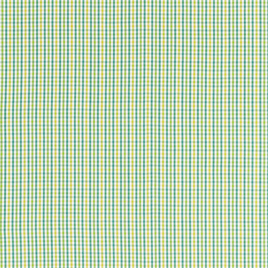 SCHUMACHER  CALYPSO BAHAMA CHECK PATTERN WOVENS PATTERN WOVENS LAGOON   - 68050