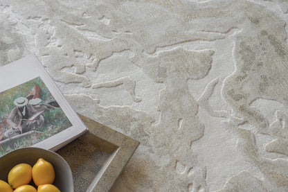 Beige textured rug with a gray tray, bowl of lemons & a photo book showing two people in hats.