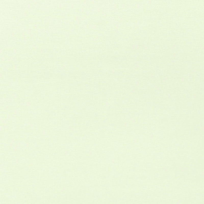 SCHUMACHER  PERFECT BASICS: VELVET SOPHIA VELVET VELVETS VELVETS PISTACHIO   - 68114