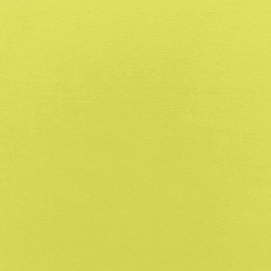 SCHUMACHER  PERFECT BASICS: VELVET SOPHIA VELVET VELVETS VELVETS LIME   - 68128