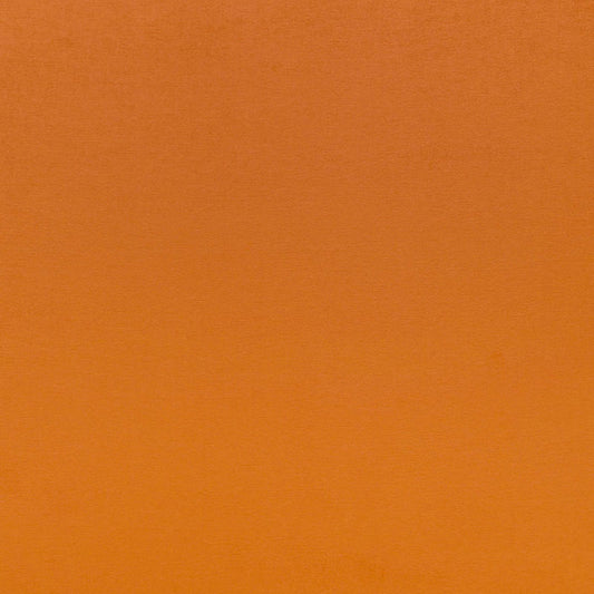 SCHUMACHER  PERFECT BASICS: VELVET SOPHIA VELVET VELVETS VELVETS VALENCIA   - 68132