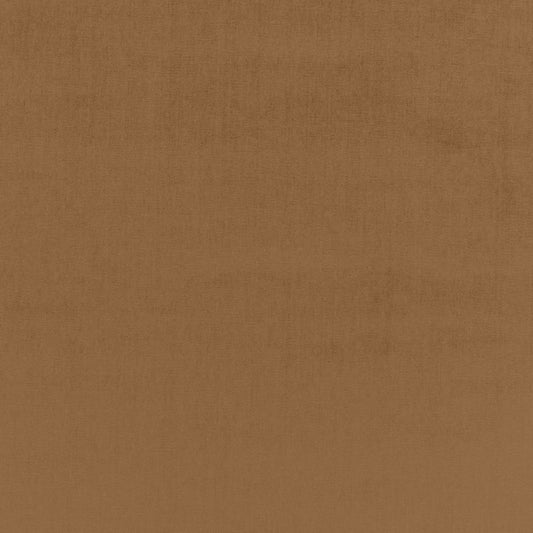 SCHUMACHER  PERFECT BASICS: VELVET SOPHIA VELVET VELVETS VELVETS CAMEL   - 68139