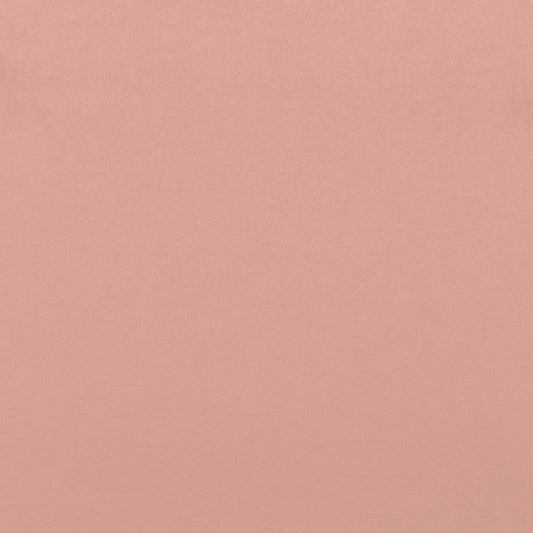 SCHUMACHER  PERFECT BASICS: VELVET SOPHIA VELVET VELVETS VELVETS MAUVE   - 68147