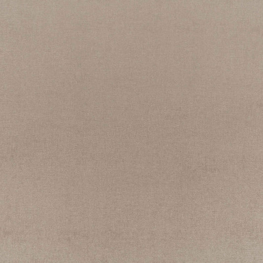 SCHUMACHER  PERFECT BASICS: VELVET SOPHIA VELVET VELVETS VELVETS TAUPE   - 68158