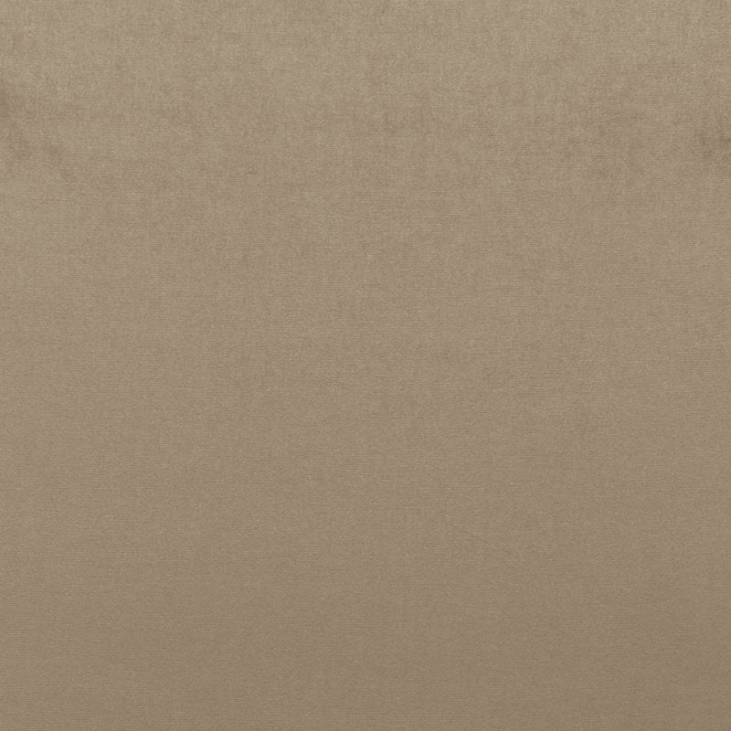 SCHUMACHER  PERFECT BASICS: VELVET SOPHIA VELVET VELVETS VELVETS MUSHROOM   - 68161