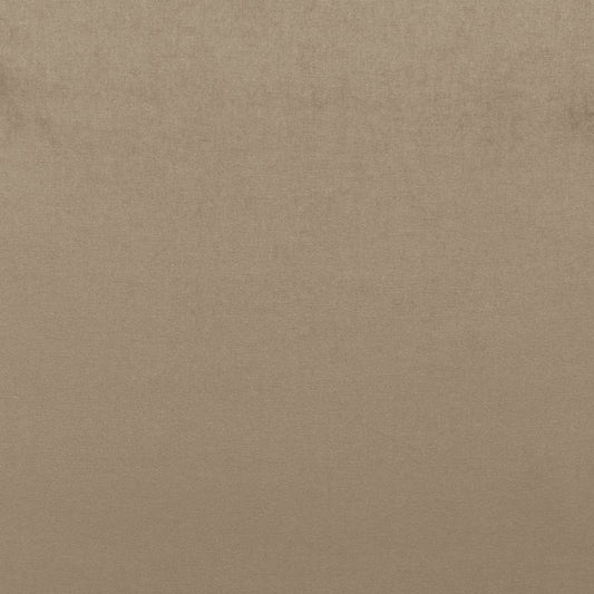 SCHUMACHER  PERFECT BASICS: VELVET SOPHIA VELVET VELVETS VELVETS MUSHROOM   - 68161