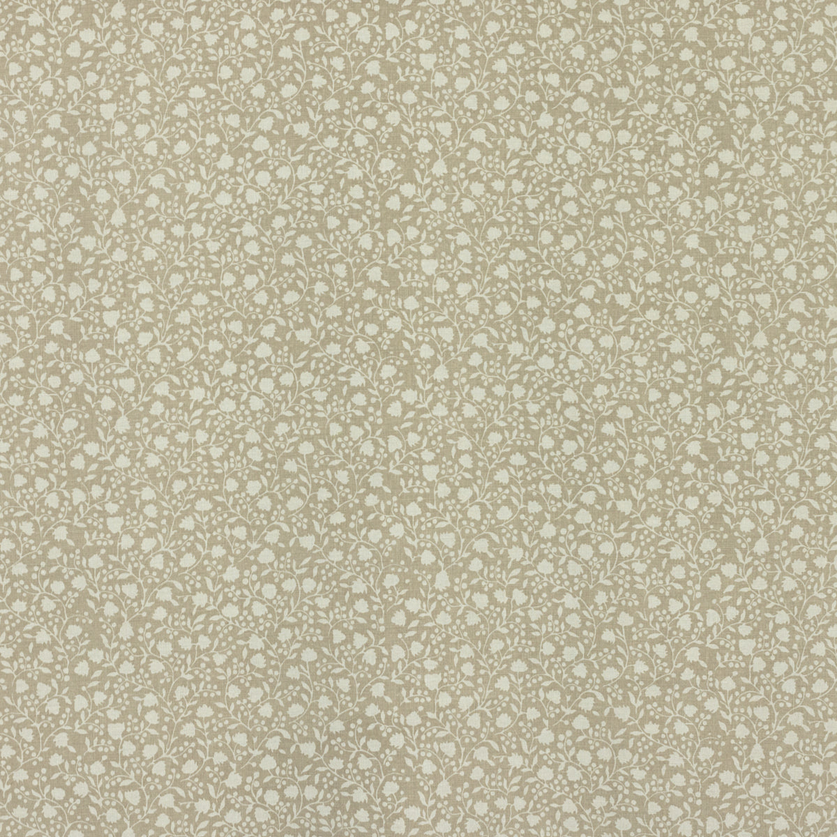 SCHUMACHER  RAOUL TEXTILES ELLIE PRINTS PRINTS NATURAL   - 681N14