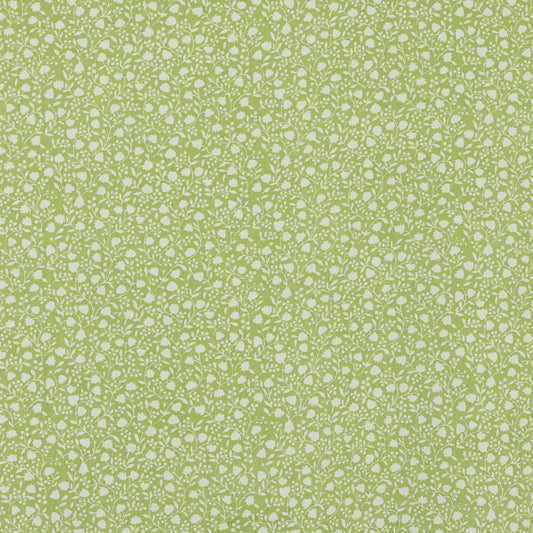 SCHUMACHER  RAOUL TEXTILES ELLIE PRINTS PRINTS CELERY   - 681V74