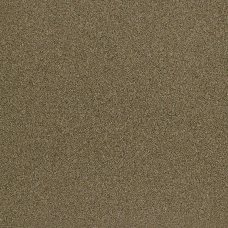 Beige textured surface with fine grain; warm neutral backdrop.