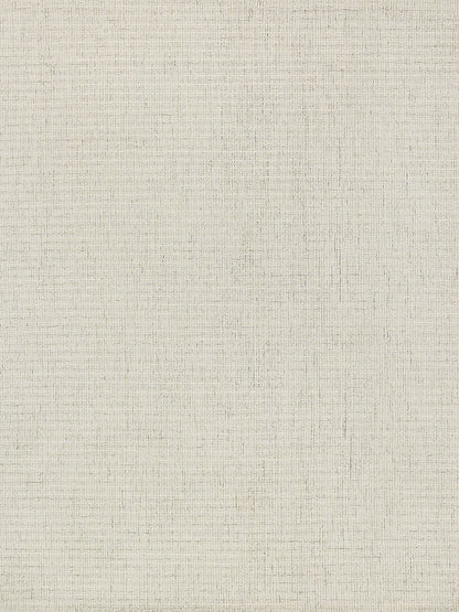 Beige hand-tufted rug texture with woven fibers and subtle grain; size 2' x 3'.