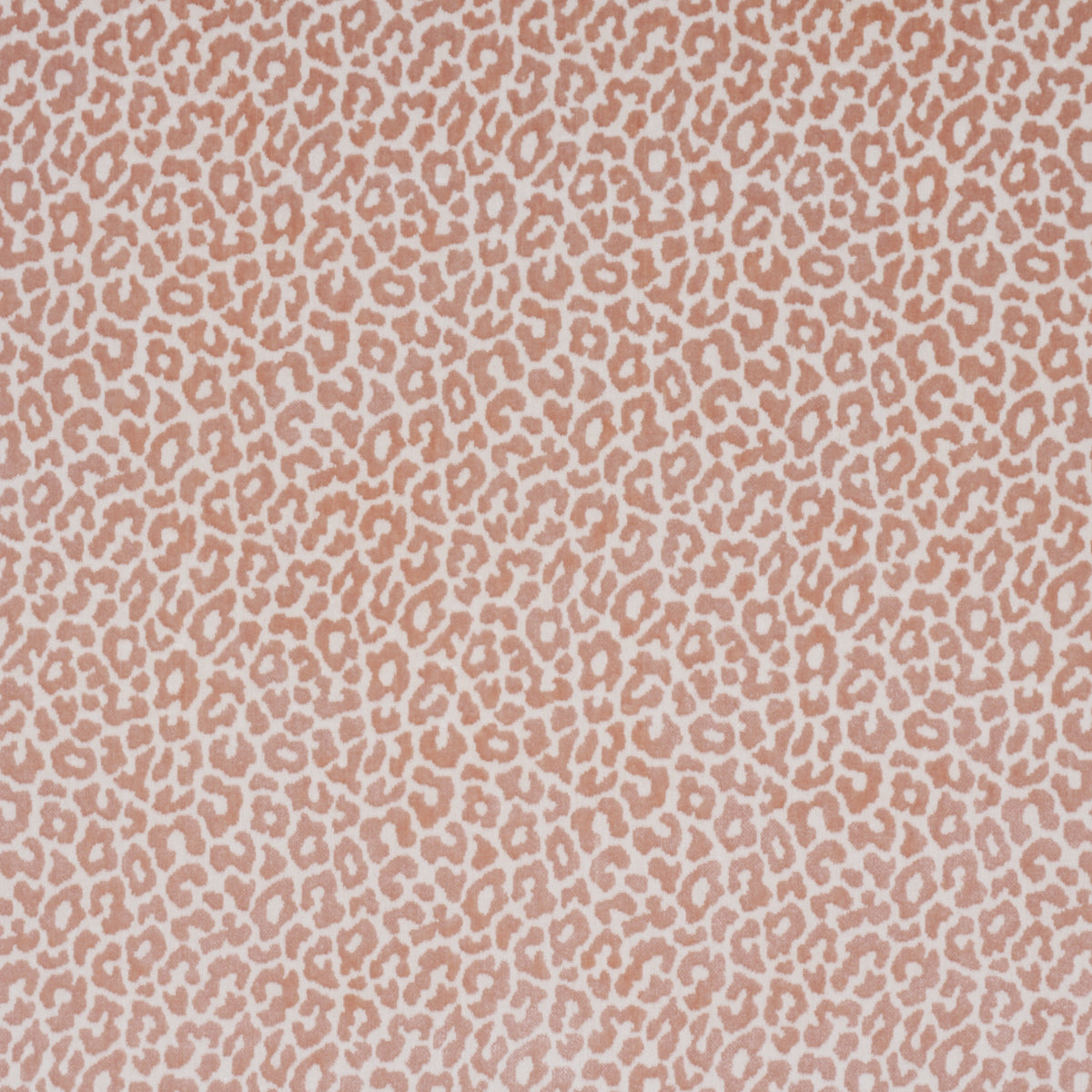 SCHUMACHER  TIMOTHY CORRIGAN MADELEINE VELVET WOVEN WOVEN FRENCH KISS   - 68828