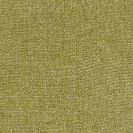 SCHUMACHER  PERFECT BASICS: CHENILLE AUDEN CHENILLE CHENILLE,TEXTURES CHENILLE,TEXTURES CHARTREUSE   - 69065