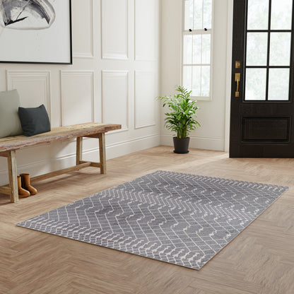 Grey chevron-pattern rug on light wood floor in entryway, with wooden bench, potted plant, and black front door.