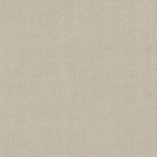 SCHUMACHER  PERFECT BASICS: UNION BARNETT PLAINS,HIGH PERFORMANCE PLAINS,HIGH PERFORMANCE TRUFFLE   - 69375