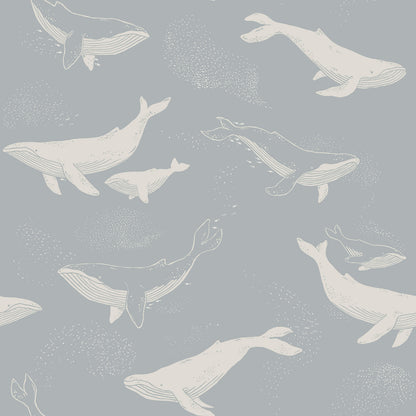 Whale-pattern wallpaper: creamy white whales on a slate blue-gray background; nautical illustration.
