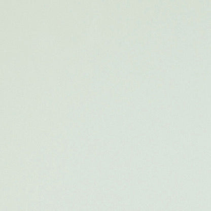 SCHUMACHER  PERFECT BASICS: COTTON ELLIOTT BRUSHED COTTON   Ivory   - 69491
