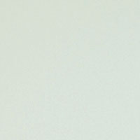 SCHUMACHER  PERFECT BASICS: COTTON ELLIOTT BRUSHED COTTON   Ivory   - 69491