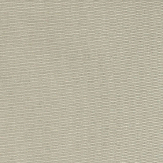 SCHUMACHER  PERFECT BASICS: COTTON ELLIOTT BRUSHED COTTON PLAINS PLAINS BUFF   - 69504