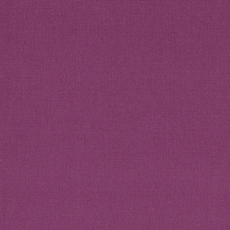 SCHUMACHER  PERFECT BASICS: COTTON ELLIOTT BRUSHED COTTON PLAINS PLAINS CONCORD   - 69525