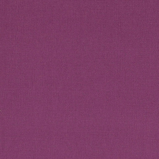 SCHUMACHER  PERFECT BASICS: COTTON ELLIOTT BRUSHED COTTON PLAINS PLAINS CONCORD   - 69525