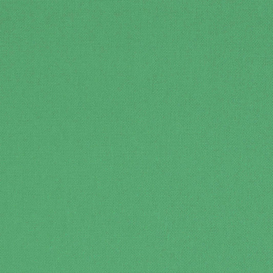 SCHUMACHER  PERFECT BASICS: COTTON ELLIOTT BRUSHED COTTON   Leaf   - 69543