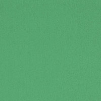 SCHUMACHER  PERFECT BASICS: COTTON ELLIOTT BRUSHED COTTON   Leaf   - 69543