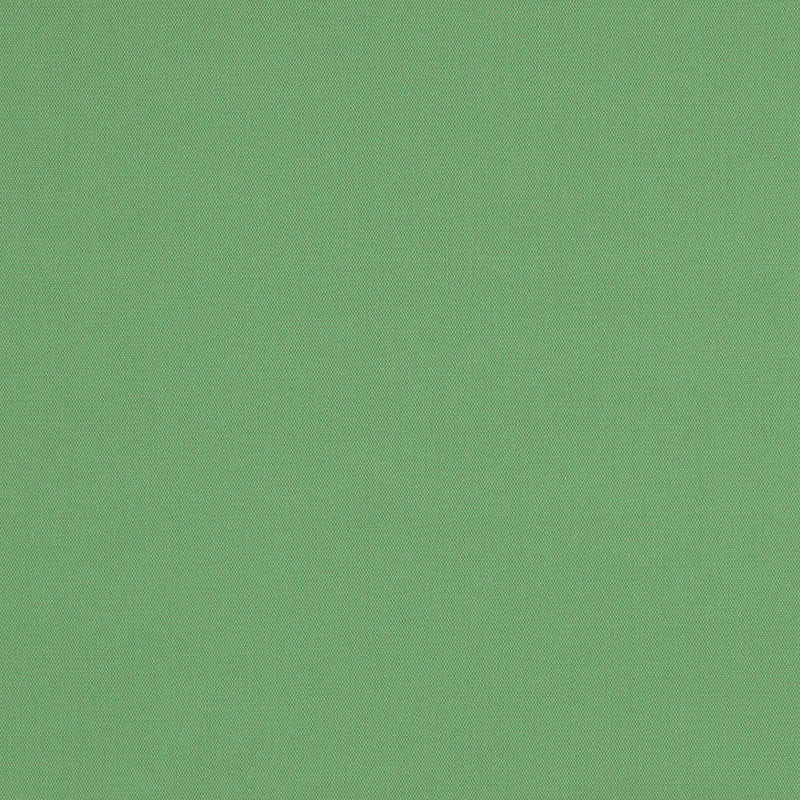 SCHUMACHER  PERFECT BASICS: COTTON ELLIOTT BRUSHED COTTON   Basil   - 69544