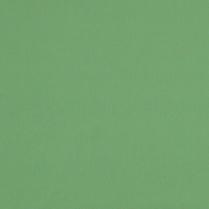 SCHUMACHER  PERFECT BASICS: COTTON ELLIOTT BRUSHED COTTON   Basil   - 69544