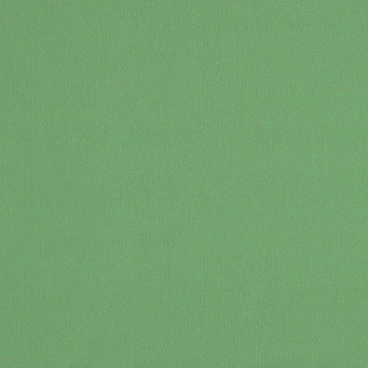 SCHUMACHER  PERFECT BASICS: COTTON ELLIOTT BRUSHED COTTON   Basil   - 69544