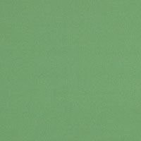 SCHUMACHER  PERFECT BASICS: COTTON ELLIOTT BRUSHED COTTON   Basil   - 69544