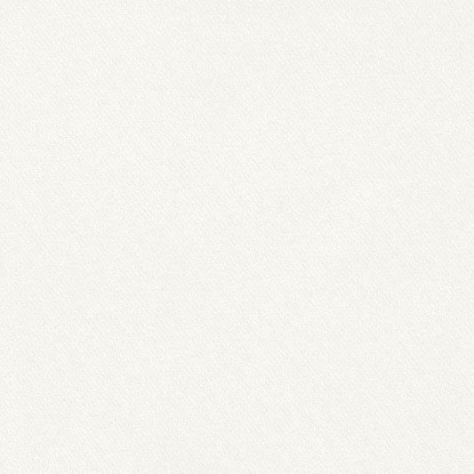 SCHUMACHER  PERFECT BASICS: COTTON BLAKE POLISHED COTTON PLAINS PLAINS CLOUD   - 69587