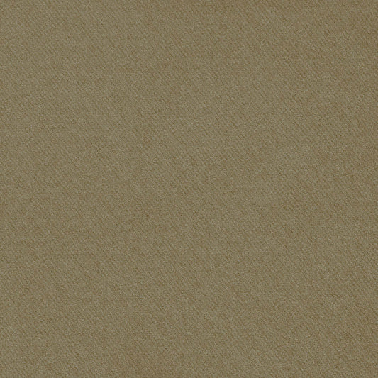 SCHUMACHER  PERFECT BASICS: COTTON BLAKE POLISHED COTTON   Nutmeg   - 69590