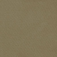 SCHUMACHER  PERFECT BASICS: COTTON BLAKE POLISHED COTTON   Nutmeg   - 69590
