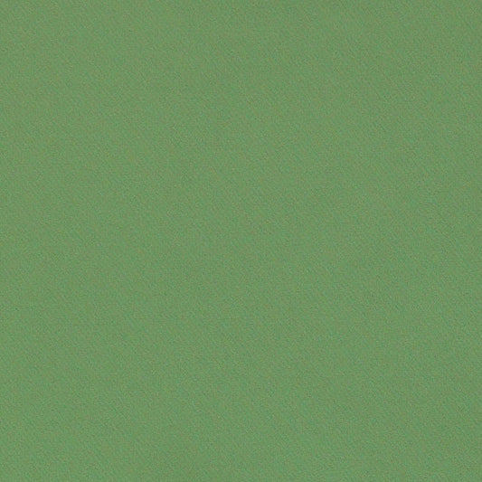 SCHUMACHER  PERFECT BASICS: COTTON BLAKE POLISHED COTTON PLAINS PLAINS OREGANO   - 69592