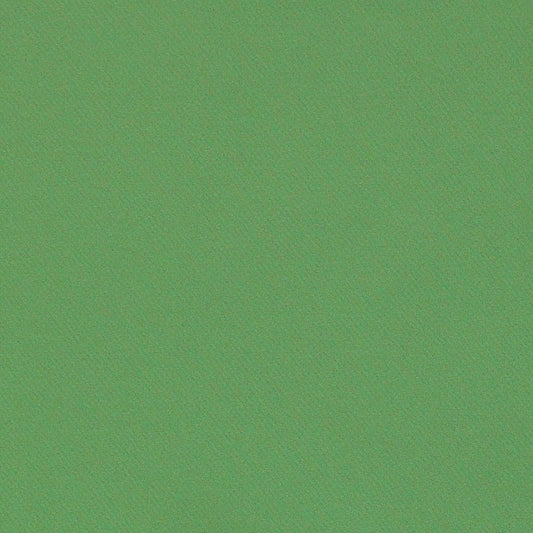 SCHUMACHER  PERFECT BASICS: COTTON BLAKE POLISHED COTTON PLAINS PLAINS GRASS   - 69593