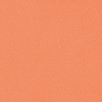 SCHUMACHER  PERFECT BASICS: COTTON BLAKE POLISHED COTTON   Mandarin   - 69595