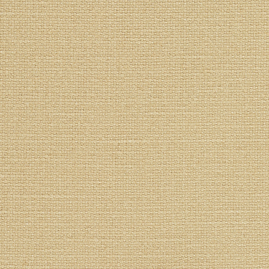 SCHUMACHER  PERFECT BASICS: UNION LANGHAM HIGH PERFORMANCE UNION PLAINS,HIGH PERFORMANCE PLAINS,HIGH PERFORMANCE CAMEL   - 69616